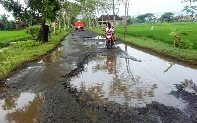 Warga Ponorogo Usulkan Jalan Berlubang Jadi Ikon Wisata Baru
