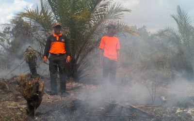 Plt Gubri Harus Berani Beri Sanksi Perusahaan Pembakar Lahan