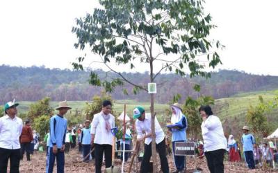 Jokowi: Indonesia Harus Kembali Berjaya