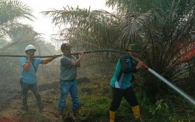 Puluhan Hektar Lahan Warga di Pelalawan Terbakar 