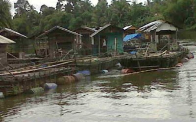 Korupsi Keramba Ikan, Irwansyah Dipenjara 5 Tahun