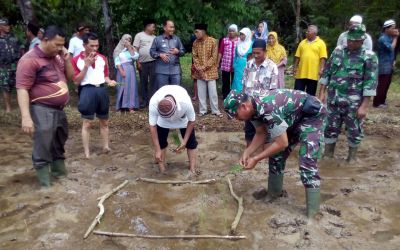 TNI Tanam Padi Bersama Warga di Rokan Hulu