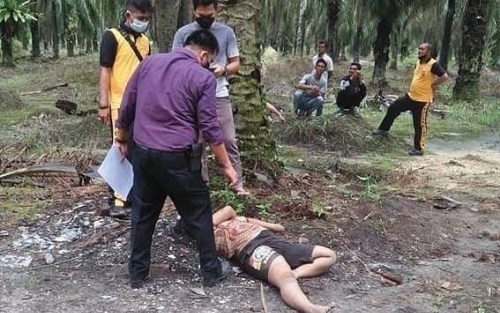 Warga Garuda Sakti Temukan Mayat Gadis di Kebun Sawit