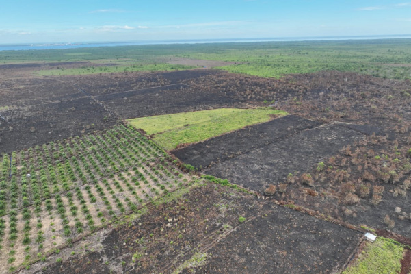Diduga Membakar Lahan, Dua Warga Rupat Ditangkap Polres Bengkalis