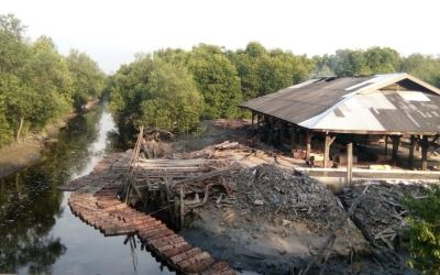 Buaya Serang Warga di Kilang sagu Sungai Tohor