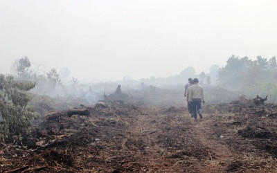 Satelite Terra Aqua Deteksi 6 Titik Panas di Riau