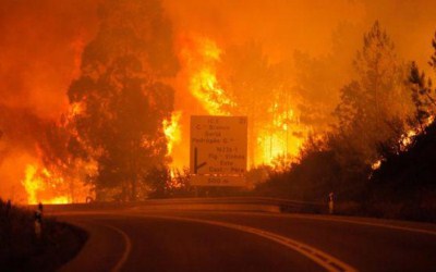 Kebakaran Hutan Dahsyat di Portugal, 62 Orang Tewas