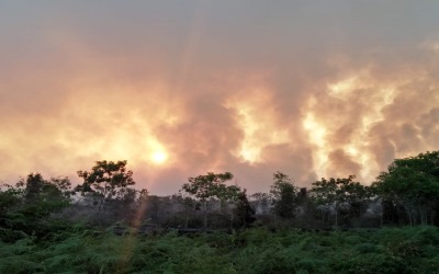 10 Hektar Lahan di Desa Ketam Putih Dilalap Api