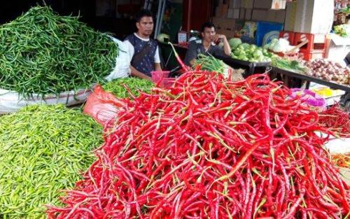 Harganya Cabai Keriting di Pasar Selatpanjang Tembus Rp80 Ribu