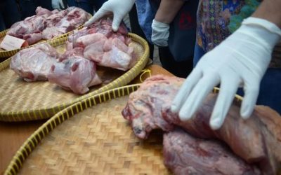 Peredaran Daging Sapi Dioplos Babi Kembali Terungkap