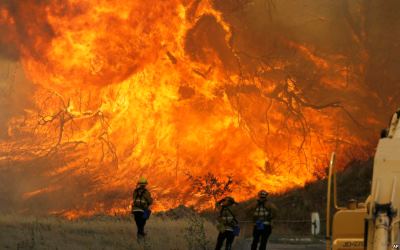 Hutan California Terbakar, WNI Masih Aman