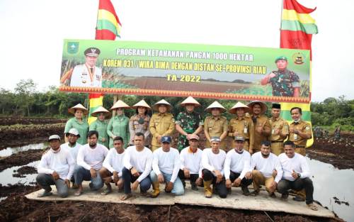 Program Ketahanan Pangan, Wabup Husni Tanam Nenas