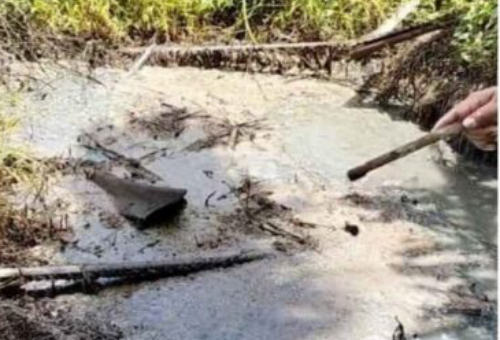 PKS PT Sari Lembah Subur di Pelalawan Terancam Digugat Penggiat Lingkungan