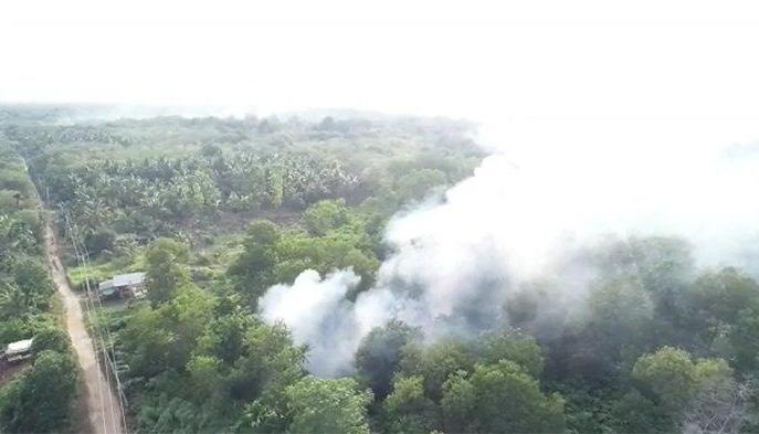 Ada 4 Hotspot di Pulau Sumatera Pagi ini, 1 Titik Panas Ada di Riau