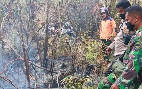 Musim Kemarau Diprediksi Lebih Awal, Riau Waspadai Karhutla