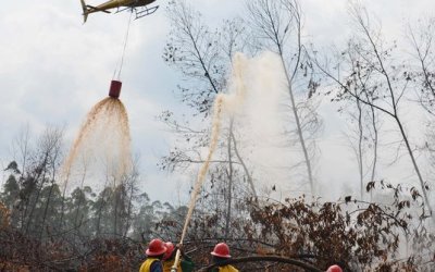 BMKG Temukan Ada 167 Titip Panas di Riau