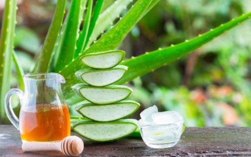 7 Manfaat Lidah Buaya untuk Kesehatan, Bisa untuk Bisul