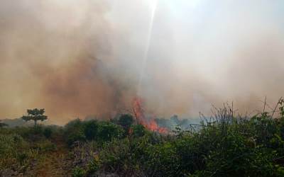 Lahan Gambut di Pasir Limau Kapas Terbakar