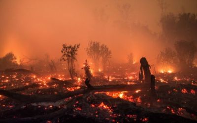 DPRD Riau Pertanyakan Kinerja Badan Restorasi Gambut