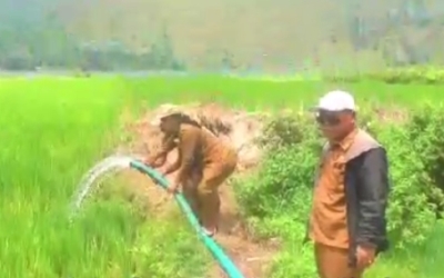 Kemarau Panjang, Pemkab Samosir Kerahkan Pompa Air