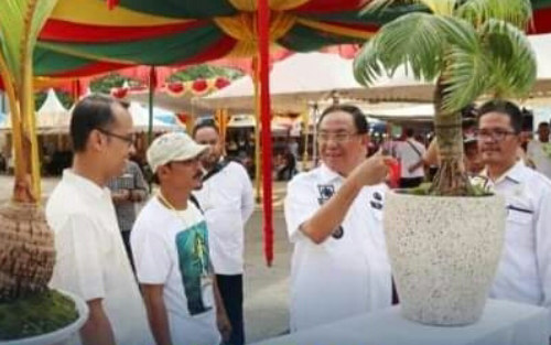 Kontes Bonsai Kelapa di Inhil Meriahkan Hari Pres Nasional Riau 2023
