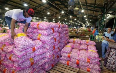 Bawang Putih China Tidak Dilarang Masuk Indonesia