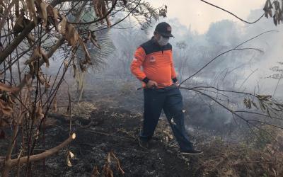 Sekda Meranti Tinjau Lokasi Kebakaran Lahan di Sokop