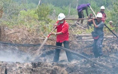 Polisi Selidiki Kasus Karhutla di Areal PT SRL dan PT BDL