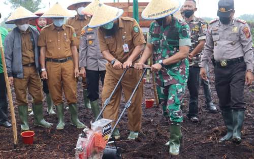 Dandim 0303 Bengkalis Lounching Ketahan Pangan di Sungai Alam