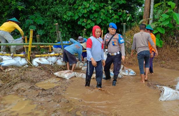 Polmas Desa Bancar Terjun Langsung Ikuti Benahi Tanggul Jebol