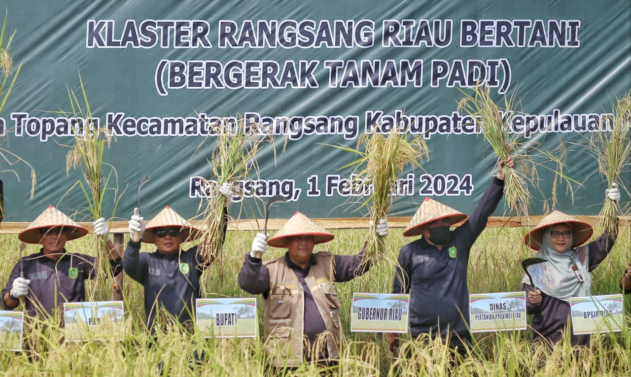 Panen Raya Padi di Topang, Gubri : Produksi Padi Meranti Tertinggi Di Riau