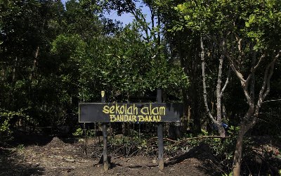 Potensi Wisata Bahari, Riau Programkan Sekolah Mangrove