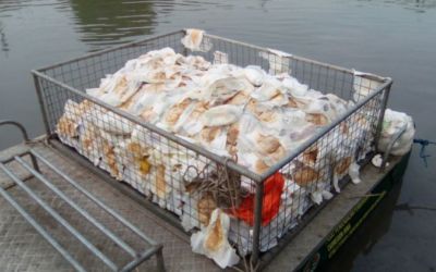 Jangan Dibuang Sembarangan, Sampah Popok Jadi Uang