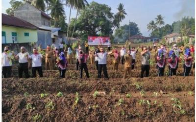 Kapolres Tapsel Tanami Palawija di Lahan Asrama Polisi 