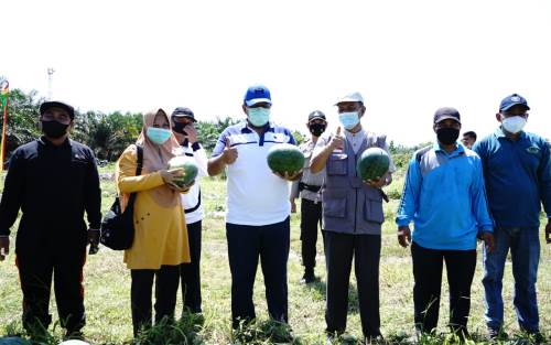 Bupati Alfedri Minta Warga Produktif Saat Pendemi Covid-19