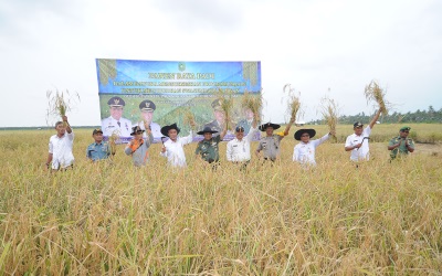 Danrem 031/WB Bersama Wakil Bupati Meranti Panen Raya 