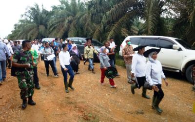 Eksekusi Kebun Sei Batu Gagal, PTPN V 'Melawan'