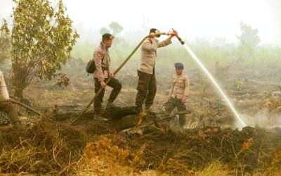 Kota Dumai Terbanyak Ditemukan Titik Api di Riau