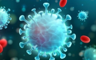 Kasus Mutasi Corona Inggris Terdeteksi di Jabar