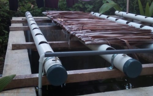 Masyarakat Gampong Ladang Berharap Bantuan Bibit Ikan