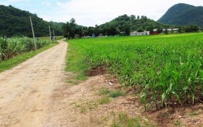 Bukit di Thailand Dipercaya Menjadi Persinggahan Alien