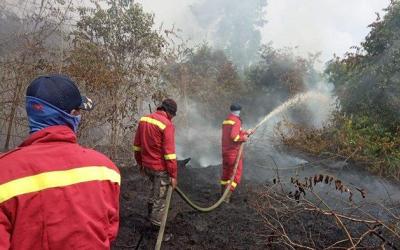 Damkar Bengkalis Kehabisan Dana Operasional Karlahut