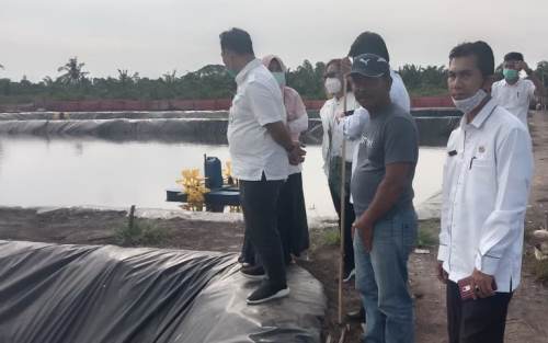 Bukhari Kembangkan Tambak Udang di Kampung Kayuara Permai