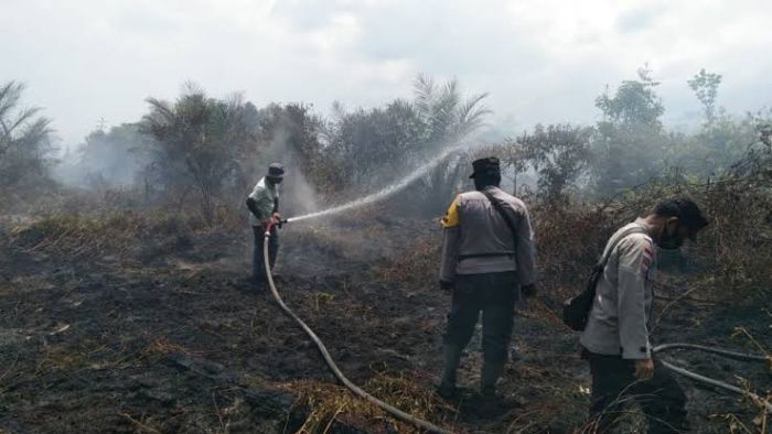 Terpantau 72 Titik Panas di Riau, Terbanyak di Kampar dan Inhu