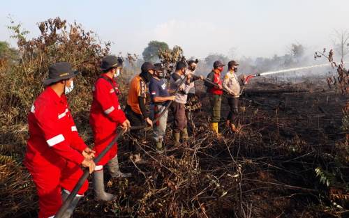 Sedikitnya 2,5 Hektar Lahan Tidur di Inhu Terbakar