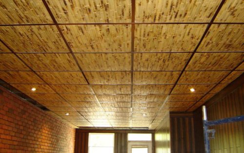 Bambu, Material Ramah Lingkungan untuk Plafon Minimalis di Rumah