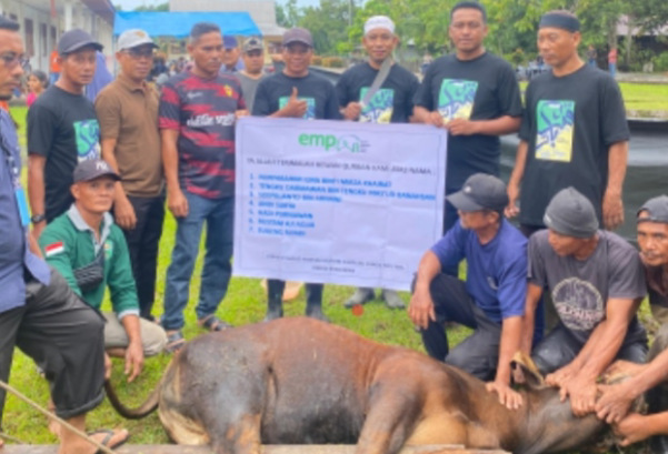PT ITA Salurkan Kurban di Siak dan Meranti, Peternak Lokal Ikut Diuntungkan