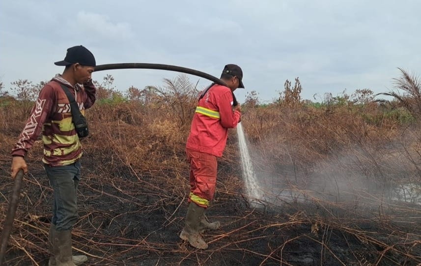 Curah Hujan di Bawah Normal, Ancaman Karhutla Diprediksi Meningkat