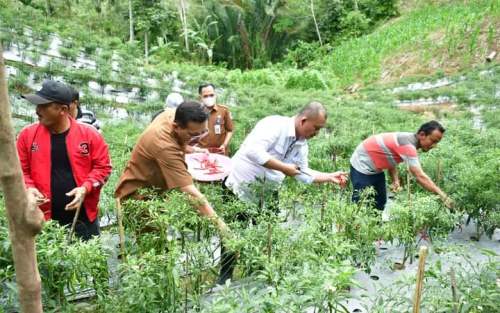 Wawako Gunungsitoli Apresiasi Keberhasilan KT Harapan Jaya