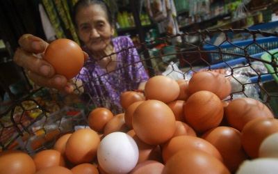 Harga Telur Ayam Turun Bakal Picu Deflasi di Februari